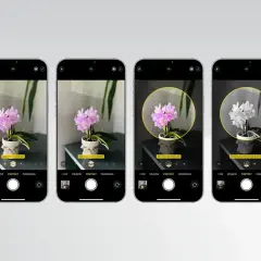 Odkryj, jak robic zdjecia iphonem, wybierając różne efekty świetlne dla portretu storczyka: naturalne, studyjne, konturowe, sceniczne i monochromatyczne.
