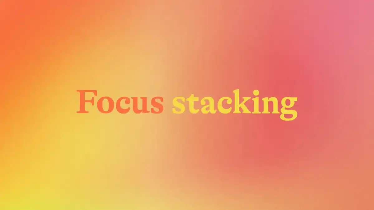 Focus stacking w fotografii - jak uzyskać ostrość od przodu do tła