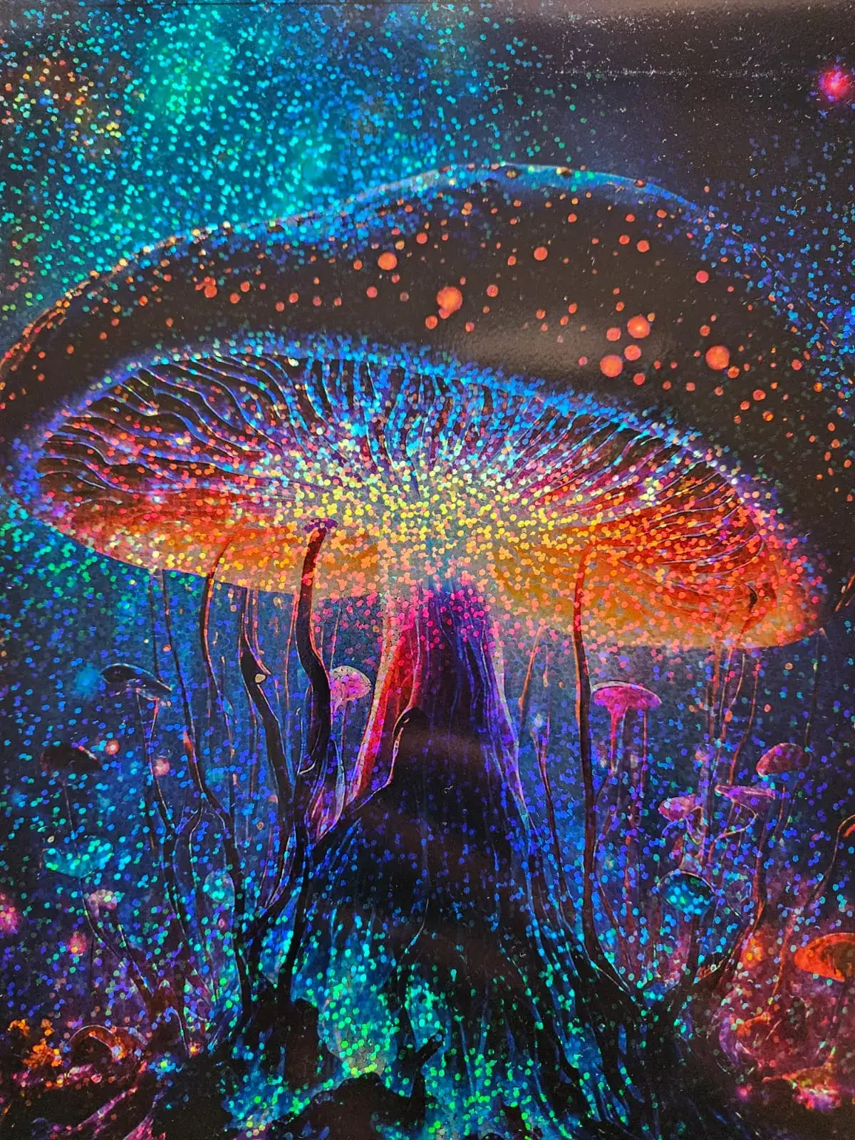 Zdjęcie Folia hologramowa do druku – zastosowania, cechy i zakupy