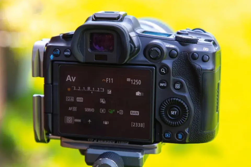 Jaki aparat do makrofotografii wybrać? Sprawdź, co działa